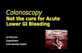 Colonoscopy Not the cure for Acute Lower GI Bleeding Liz O’Gorman Surgical Intern Cork University Hospital.
