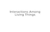 Interactions Among Living Things. Adapting to the Environment Natural Selection – a characteristic that makes an individual better suited to its environment;