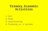 Primary Economic Activities 1.Oil 2.Peat 3.Overfishing 4.Farming as a System.