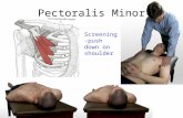 Pectoralis Minor Screening- push down on shoulder.