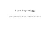 Plant Physiology Cell differentiation and Senescence.