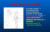 NERVOUS SYSTEM It is the master controlling and communicating system of the body. It is the master controlling and communicating system of the body. Structurally,