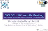 BIOLOCH 10 th month Meeting BIO-mimetic structures for LOComotion in the Human body Heraklion, Crete, March 7-8, 2003 Institute of Computer Science Foundation.