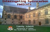 Interrogating hydrocarbon radicals Timothy Schmidt University of Sydney New South Wales, Australia.