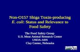 Non-O157 Shiga Toxin-producing E. coli: Status and Relevance to Food Safety The Food Safety Group U.S. Meat Animal Research Center USDA-ARS Clay Center,