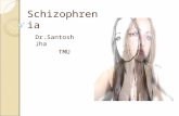 Schizophrenia Dr.Santosh Jha TMU. Schizophrenia is a clinical syndrome of variable, but profoundly disruptive, psychopathology that involves cognition,