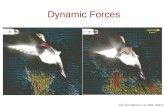 Dynamic Forces Fig. from Warrick et al. 2005. Nature.