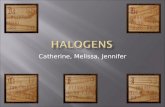Catherine, Melissa, Jennifer.  The Halogens are fluorine, chlorine, bromine, iodine, and astatine.  Halogen is derived from a Greek word meaning “salt-producing”