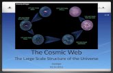 The Cosmic Web The Large Scale Structure of the Universe Szydagis 03.25.2015 University of Oregon 1 / 17.