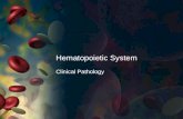 Hematopoietic System Clinical Pathology. Hematopoietic System Blood supplies cells with water, nutrients, electrolytes, and hormone. Removes waste products.