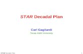 STAR Decadal Plan 1 Carl Gagliardi Texas A&M University.