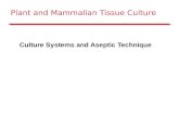 Plant and Mammalian Tissue Culture Culture Systems and Aseptic Technique.