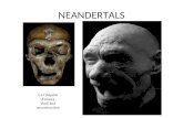 NEANDERTALS La Chapelle (France) skull and reconstruction.