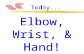 Elbow, Wrist, & Hand! Today.... Elbow: Anatomy, Injuries, Treatment, & Rehabilitation.