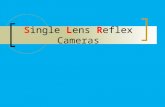 Single Lens Reflex Cameras. Single Lens Reflex Camera Shutter Release Shutter Speed Dial Hot Shoe-Flash Film Re-Winder Aperture Ring Focusing Ring Lens.
