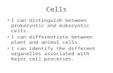 Cells I can distinguish between prokaryotic and eukaryotic cells. I can differentiate between plant and animal cells. I can identify the different organelles.