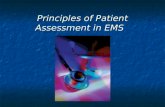Principles of Patient Assessment in EMS. Sizing Up the Scene.