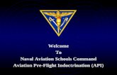 Welcome To Naval Aviation Schools Command Aviation Pre-Flight Indoctrination (API)