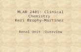 MLAB 2401: Clinical Chemistry Keri Brophy-Martinez Renal Unit :Overview.