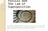 Fossils and The Law of Superposition Liz LaRosa 5 th Grade Science  2009 This PPT was.