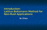 Introduction: Lattice Boltzmann Method for Non-fluid Applications Ye Zhao.