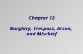 Chapter 12 Burglary, Trespass, Arson, and Mischief.
