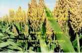 Enhancing Sorghum Yield and Profitability through Sensor Based N Management Dave Mengel and Drew Tucker Department of Agronomy K-State.