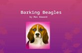 Barking Beagles by Max Howard What are beagles?  Beagles are a breed of dog that loves to play and have fun!  They are fast cute and playful.  Beagles.