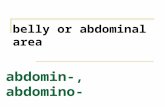 Abdomin-, abdomino- belly or abdominal area. antero- position ahead of or in front of.