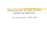 Assessment & Care of the Laboring Woman Lisa Van Gerpen, CNM, MSN.