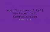 Modification of Cell Surface/ Cell Communication Mader 5.4.