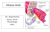 Motor Unit Dr. Aida Korish Assoc. Prof. Physiology KSU.