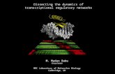 Dissecting the dynamics of transcriptional regulatory networks MRC Laboratory of Molecular Biology Cambridge, UK MRC Laboratory of Molecular Biology Cambridge,