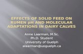Anne Laarman, M.Sc. Ph.D. Student University of Guelph alaarman@uoguelph.ca.