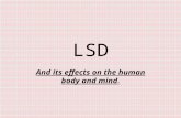 LSD And its effects on the human body and mind.. STEVEN WRIGHT On LSD "If God dropped acid, would he see people?"