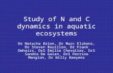 Study of N and C dynamics in aquatic ecosystems Dr Natacha Brion, Dr Marc Elskens, Dr Steven Bouillon, Dr Frank Dehairs, DrS Emilie Chevalier, DrS Sandra.