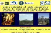 Using networks of eddy covariance towers to explore linkages between ecosystem structure and function Marcy Litvak Assistant Professor, Biology Department,