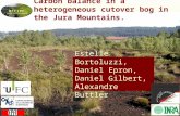 Carbon balance in a heterogeneous cutover bog in the Jura Mountains. Estelle Bortoluzzi, Daniel Epron, Daniel Gilbert, Alexandre Buttler.