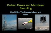 Carbon Fluxes and Microlayer Sampling Lisa Miller, Tim Papakyriakou, and team.