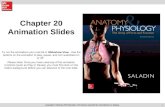 1 Chapter 20 Animation Slides Copyright © McGraw-Hill Education. Permission required for reproduction or display. To run the animations you must be in.