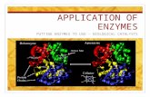 APPLICATION OF ENZYMES PUTTING ENZYMES TO USE – BIOLOGICAL CATALYSTS.