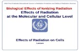 Biological Effects of Ionizing Radiation Effects of Radiation at the Molecular and Cellular Level Effects of Radiation on Cells Lecture IAEA Post Graduate.