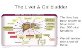The Liver & Gallbladder The liver has been shown to have more than 500 vital functions We will review only a few of these.