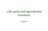 Life cycles and reproductive structures Chapter 9.