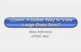 IZoom: A Better Way to View Large Data Sets? Mike Ashmore CPSC 462.