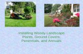 Installing Woody Landscape Plants, Ground Covers, Perennials, and Annuals.