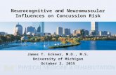 Neurocognitive and Neuromuscular Influences on Concussion Risk James T. Eckner, M.D., M.S. University of Michigan October 2, 2015.