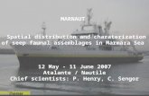 MARNAUT Spatial distribution and charaterization of seep faunal assemblages in Marmara Sea 12 May - 11 June 2007 Atalante / Nautile Chief scientists: P.
