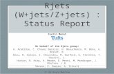 Rjets (W+jets/Z+jets) : Status Report Evelin Meoni On behalf of the Rjets group: G. Arabidze, C. Chavez Barajas, H. Beauchemin, M. Bona, G. Brandt, B.