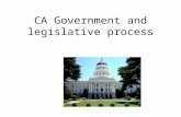 CA Government and legislative process. Executive Branch—plural executive and statewide offices. Governor 2 four year terms Lt Governor Serves as governor.